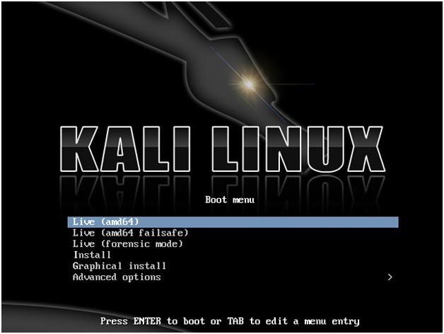 kali linux installation 01